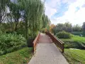 Drewniany mostek nad strumieniem, otoczony płaczącymi wierzbami i zielenią, tworzy urokliwe, romantyczne miejsca w Kaliszu.