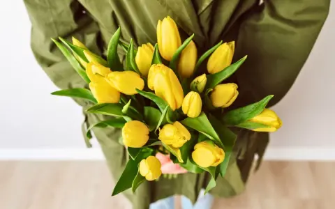 Bukiet żółtych tulipanów, symbolizujących radość i nadzieję. Co oznacza żółty tulipan? To uśmiech natury!