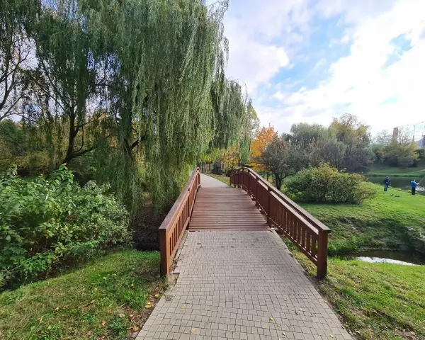 Drewniany mostek nad strumieniem, otoczony płaczącymi wierzbami i zielenią, tworzy urokliwe, romantyczne miejsca w Kaliszu.