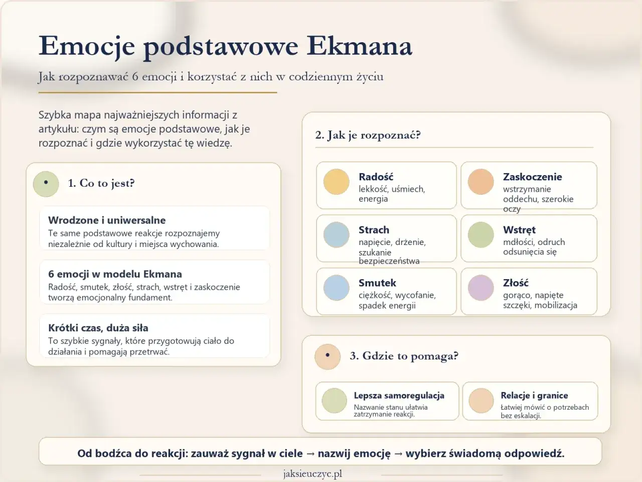 Mapa emocji Ekmana: radość, smutek (symbol tęsknoty), złość, strach, wstręt, zaskoczenie. Jak je rozpoznać i wykorzystać.